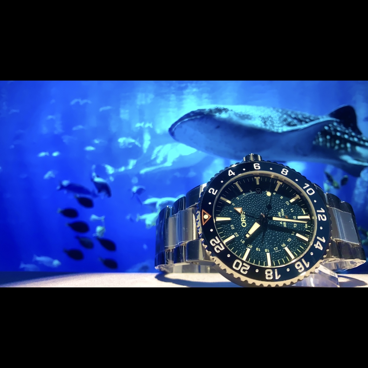 ORIS　アクイス ホエールシャーク リミテッドエディション AQUIS WHALE SHARK LIMITED EDITION　01 798 7754 4175-Set　高級時計　時計　腕時計　機械式時計　ダイバーズウォッチ　ダイバーズ　おすすめ　限定モデル　ジンベイザメ　メンズ腕時計　レディース腕時計　ORIS　オリス　石川県　石川　北陸　金沢　片町　香林坊　正規店　正規取扱店