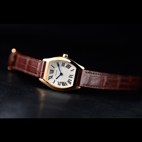 Cartier
 TORTUE WATCH SM PG | カルティエ トーチュ ウォッチ SM PG