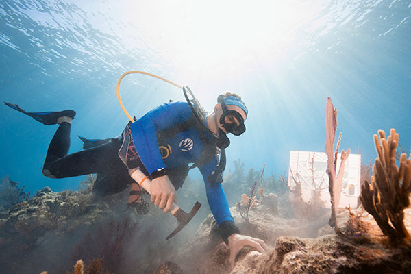 ORIS(オリス) 2020新作 サンゴ礁保護基金を支援する高機能ダイバーズウォッチ。オリス「カリスフォートリーフ リミテッド エディション」