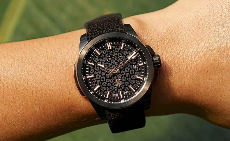 2023新作 野生のヒョウをモチーフにデザインされた、ノルケイン「インディペンデンス 40mm ハクナミパカ」