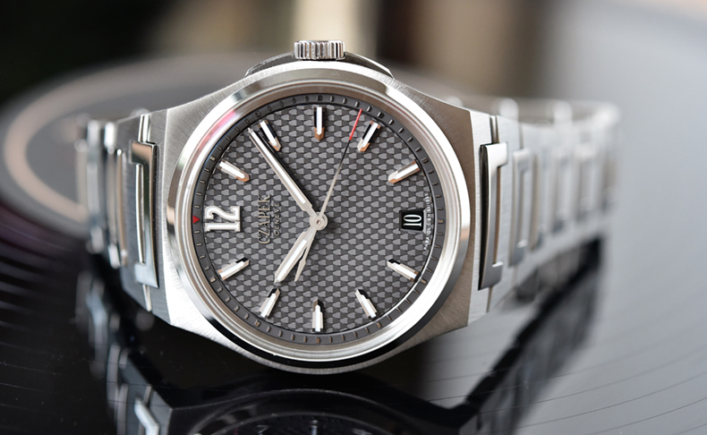 2020新作 チャペック「アンタークティック パサージュ・ドゥ・ドレーク」