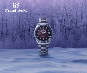 GS エボリューション9　SLGB005