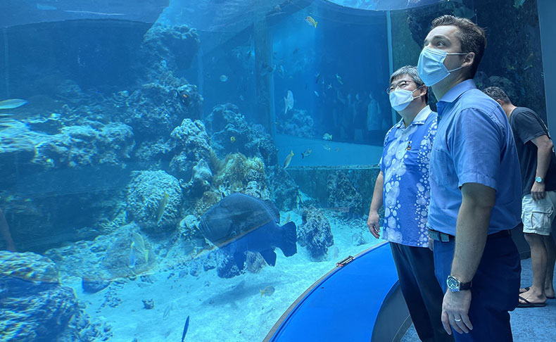 沖縄美ら海水族館を訪問:第3回:沖縄美ら海水族館のこだわり、独自の技術、 そしてこれからについて