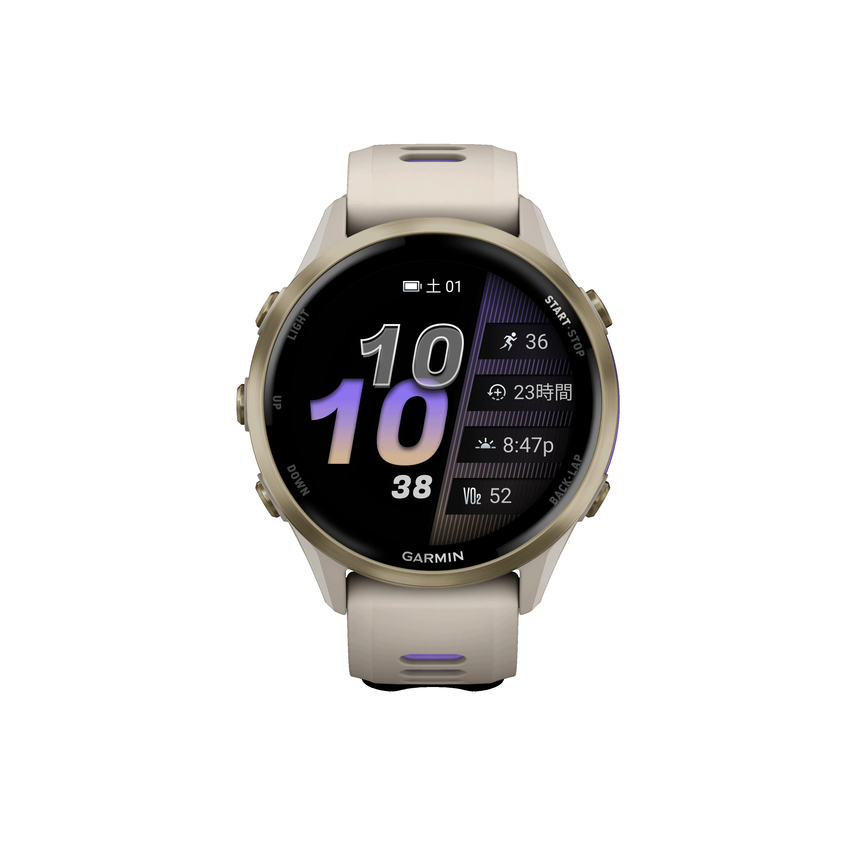 GARMIN(ガーミン)
