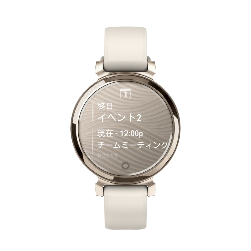GARMIN(ガーミン)
