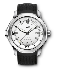 IWC(アイ・ダブリュー・シー)
