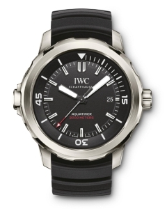 IWC(アイ・ダブリュー・シー)
