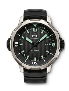 IWC(アイ・ダブリュー・シー)
