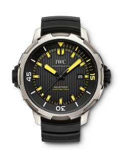 IWC(アイ・ダブリュー・シー)
