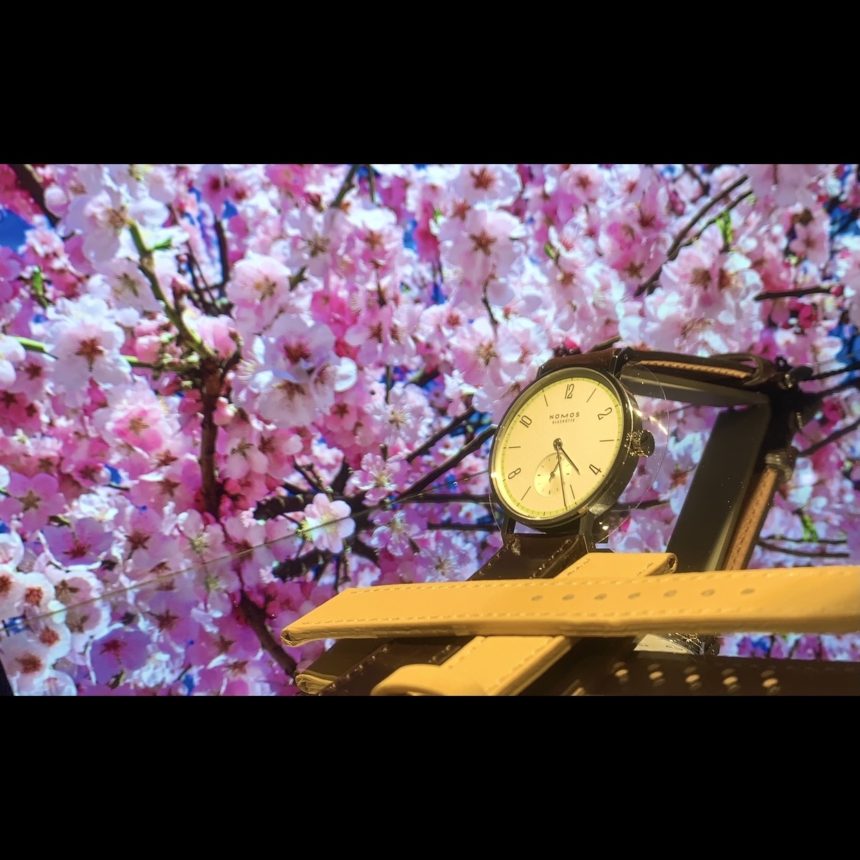 NOMOS Glashütte(ノモス グラスヒュッテ)
