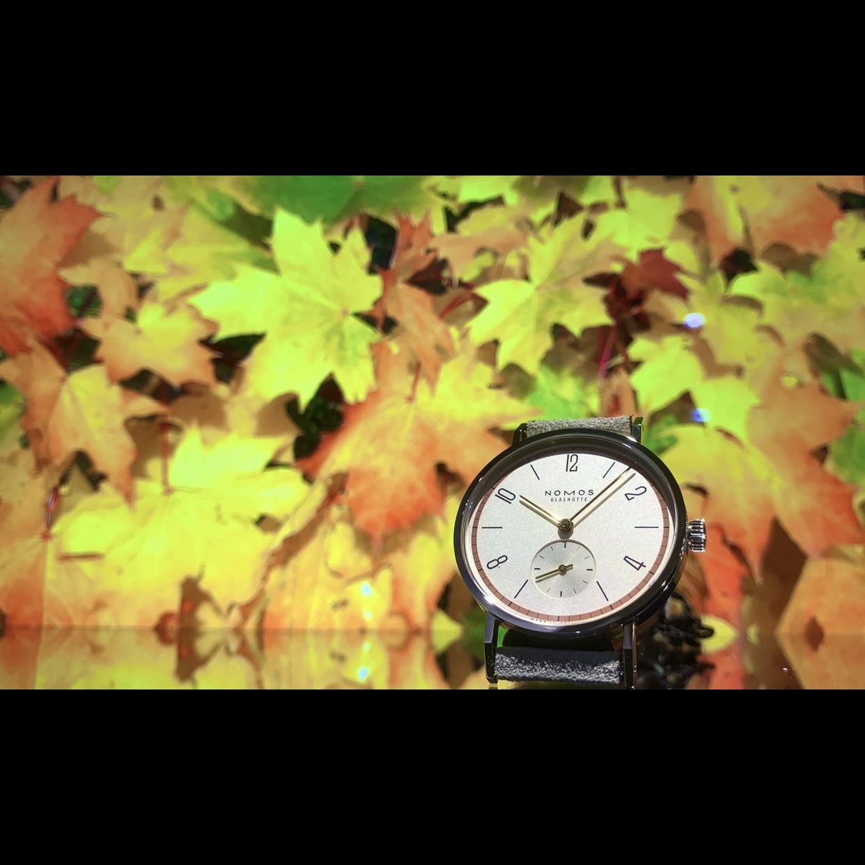 NOMOS Glashütte(ノモス グラスヒュッテ)
