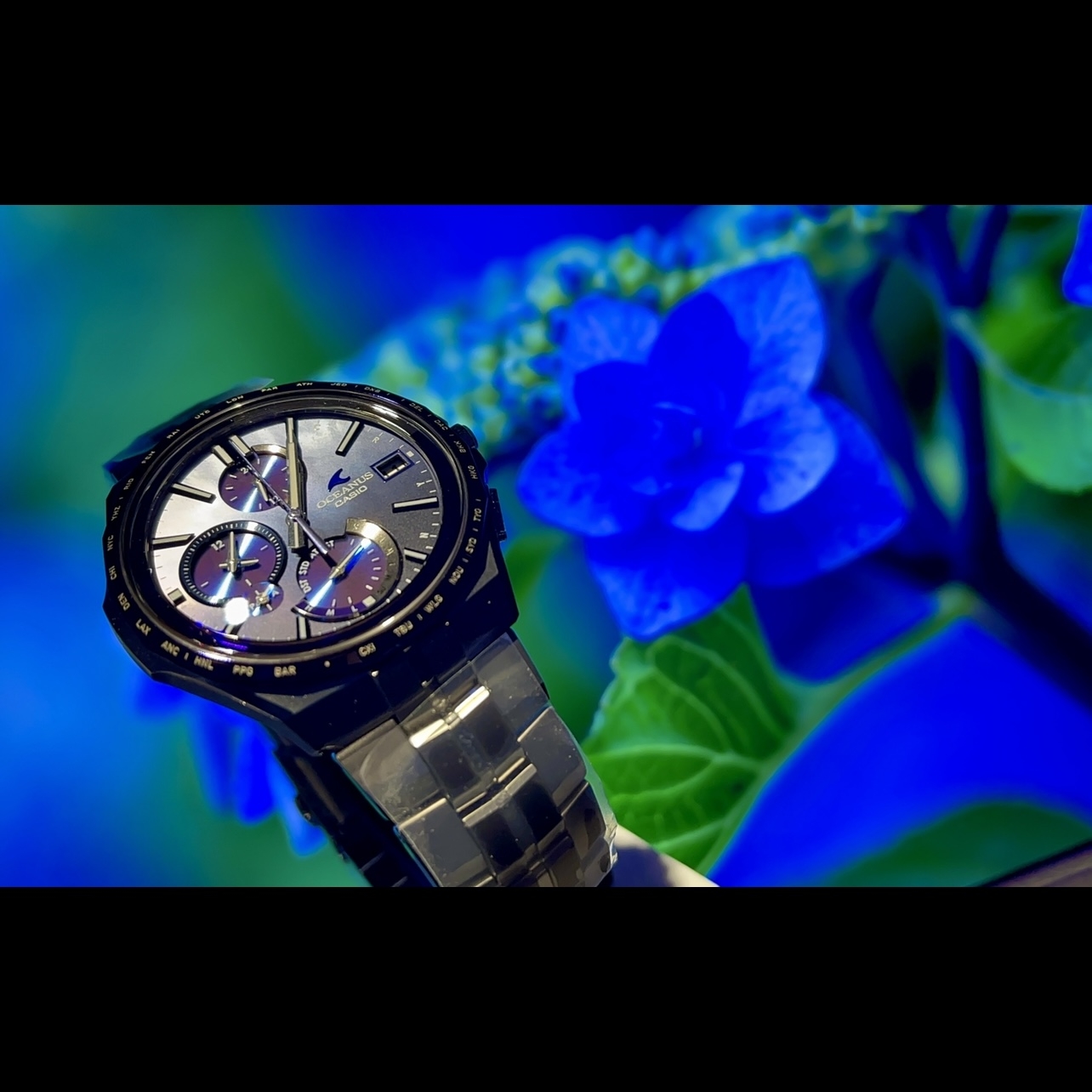 OCEANUS(オシアナス)
