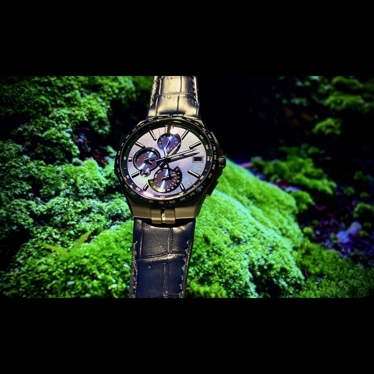 OCEANUS(オシアナス)
