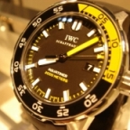 IWC(アイ・ダブリュー・シー)

