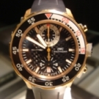 IWC(アイ・ダブリュー・シー)

