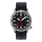 Sinn(ジン)
