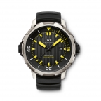 IWC(アイ・ダブリュー・シー)
