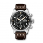 IWC(アイ・ダブリュー・シー シャフハウゼン)
