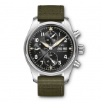 IWC(アイ・ダブリュー・シー シャフハウゼン)
