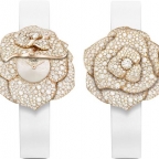 PIAGET(ピアジェ)
