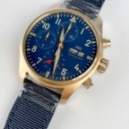 IWC(アイ・ダブリュー・シー)
