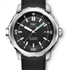 IWC(アイ・ダブリュー・シー)
