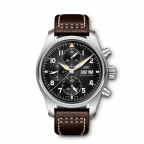 IWC(アイ・ダブリュー・シー シャフハウゼン)
