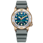 (プロマスター)
