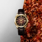 The CITIZEN(ザ・シチズン)
