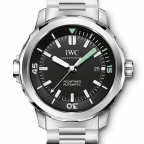 IWC(アイ・ダブリュー・シー)
