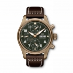 IWC(アイ・ダブリュー・シー シャフハウゼン)
