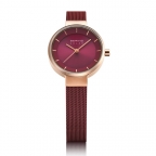 BERING(ベーリング)
