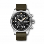 IWC(アイ・ダブリュー・シー シャフハウゼン)

