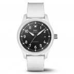 IWC(アイ・ダブリュー・シー)
