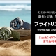 ブライトリングフェア開催中