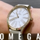 HASSINブログ【OMEGA】オメガ／428.57.36.60.04.001