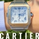 HASSINブログ【CARTIER】カルティエ／W2SA0008