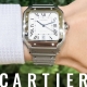 HASSINブログ【CARTIER】カルティエ／WSSA0018