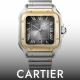 HASSINブログ【CARTIER】カルティエ／W2SA0030