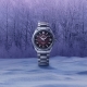🍁Grand Seiko Autumn Fair🍁