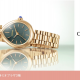 CITIZEN Ｌ(シチズン エル)の取扱いを開始致しました！