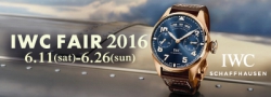 ベイシススピーシーズ　ＩＷＣフェア２０１６