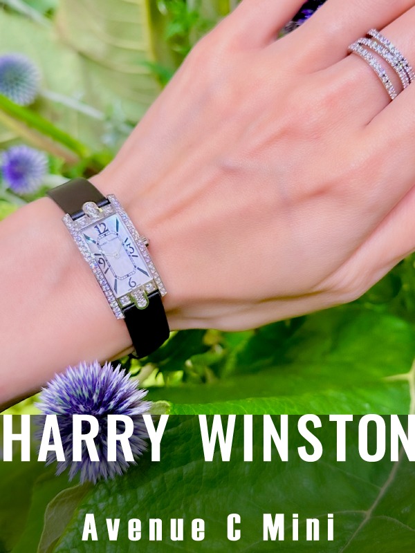 HASSIN ブログ【HARRYWINSTON】ハリーウィンストン／AVCQHM16WW024