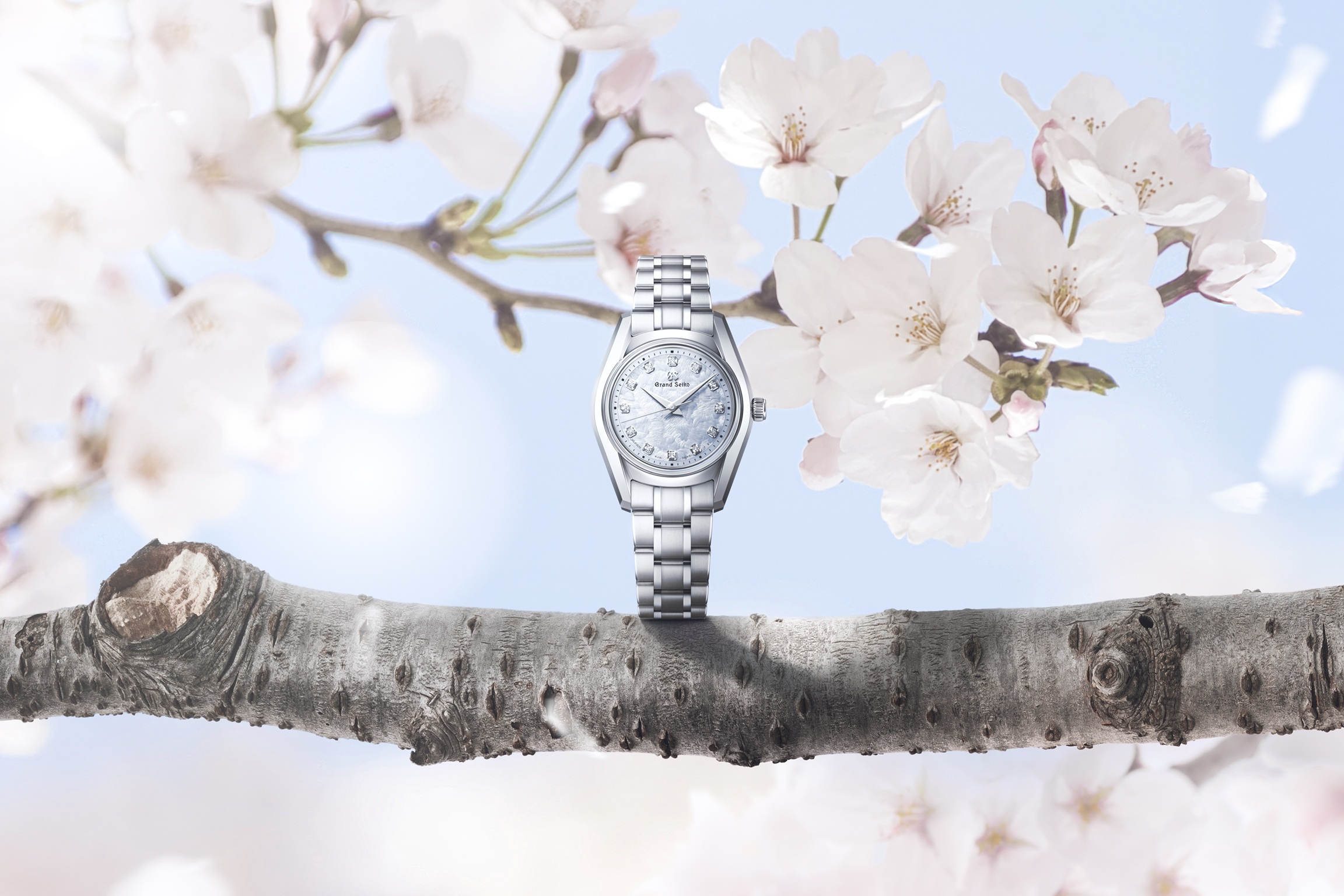 「風光る」26㎜クオーツモデル