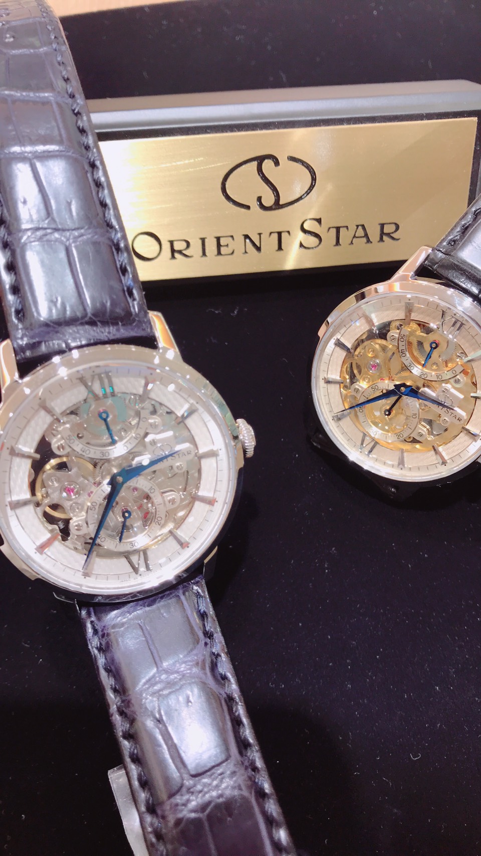 ORIENT STAR スケルトンモデル入荷