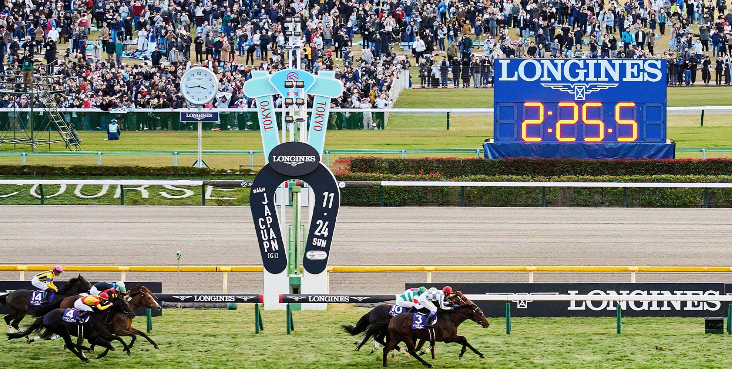 ロンジン賞 ジャパンカップ 開催記念キャンペーン