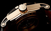 ���W�F�E�f���u�C�iROGER DUBUIS�j