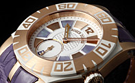 ���W�F�E�f���u�C�iROGER DUBUIS�j