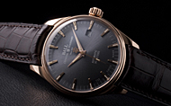 BALL WATCH(�{�[�� �E�H�b�`) �g���C���}�X�^�[ �����n���h���b�g �g�D�G���e�B�iTrainmaster 120)
