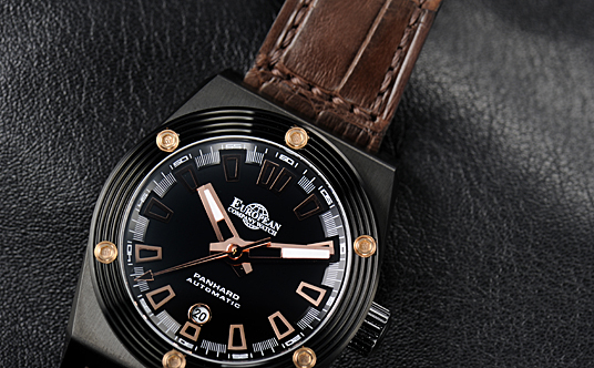 EUROPEAN COMPANY WATCH(���[���s�A���E�J���p�j�[�E�E�H�b�`)